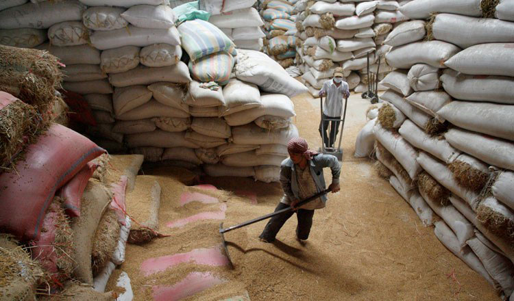 Rice exports surpass 630,000 tonnes in H1